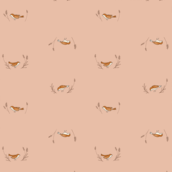 Happy Robin in Pink