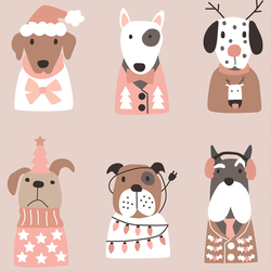 Large Jolly Pups in Cookie Dough