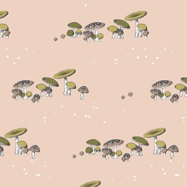 Toadstools in Shell