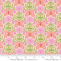 Mariposa in Rose
