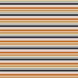 Spooky Wonder Stripe in Multi