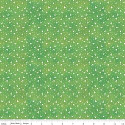 Cactus Texture in Green