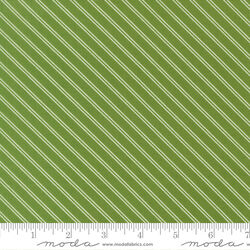 Stripe in Green