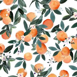 Dear Clementine in White
