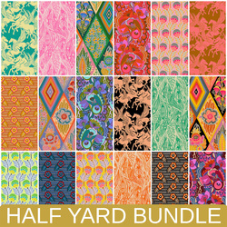 Shooting Star Half Yard Bundle