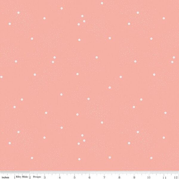 Dainty Daisy in Apricot Blush