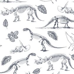 Fossils in Eclipse on White