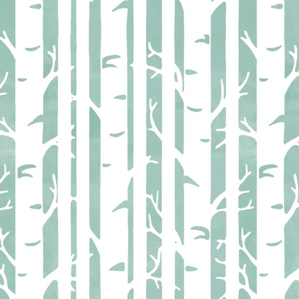 Birches in Aspen
