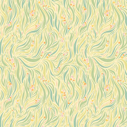 Grassy Meadows in Shine