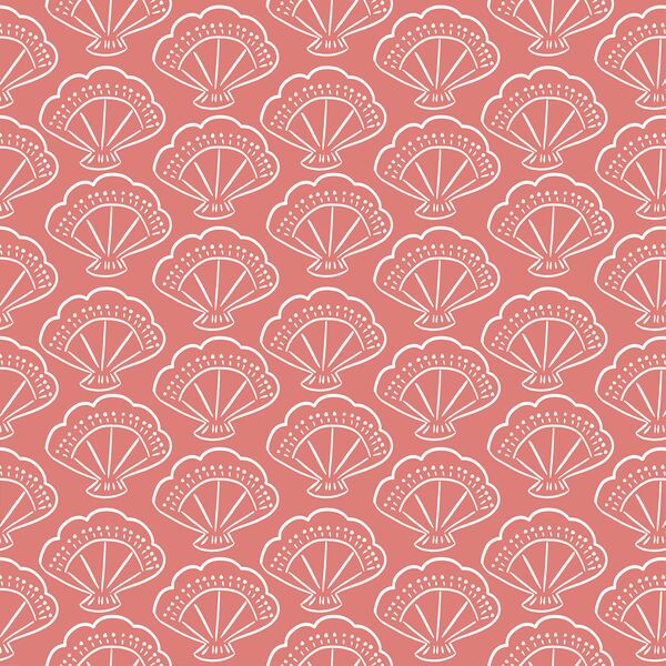 Shells in Coral