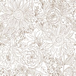 Paperie in Dark Chocolate on White