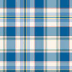Portobello Plaid in Notting Hill