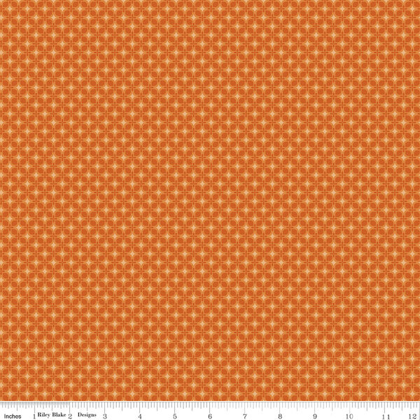 Geometric in Autumn