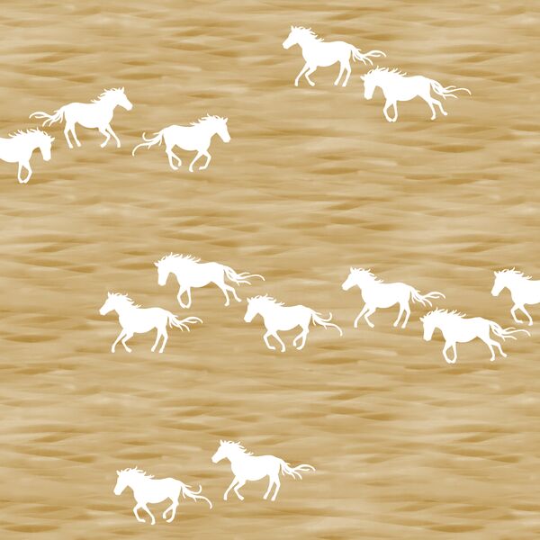 Wild Horses in Golden Canyon