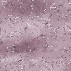 Constellations in Celestial