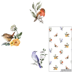Garden Birds in Leiden