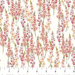 Cone Flowers in Cream