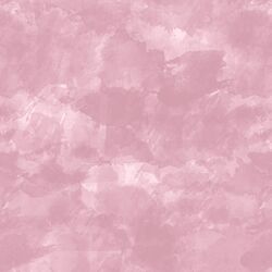 Frosting in Carnation