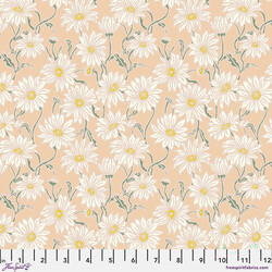 Daisy in Coral
