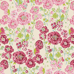 Hollyhocks in Bloom in Peony