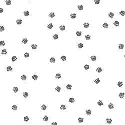 Tracks in Onyx