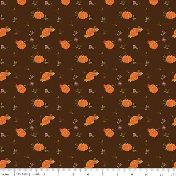 Pumpkins in Brown