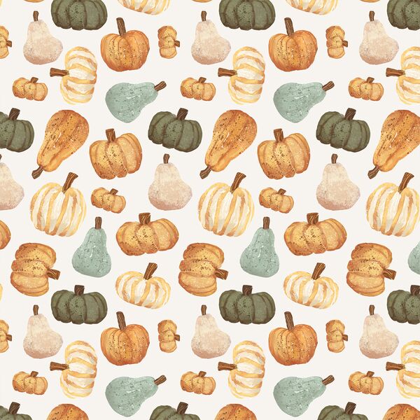 Pumpkin Toss Up in Harvest
