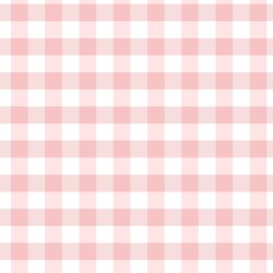Spring Gingham in Rosebud