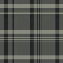 Large Plaid in Evening