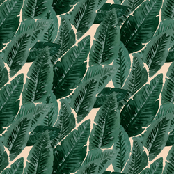 Lush Leaves in Summer Haze