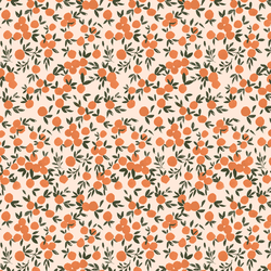 Little Oranges in Blush