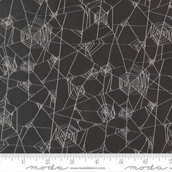 Spider Web in Onyx