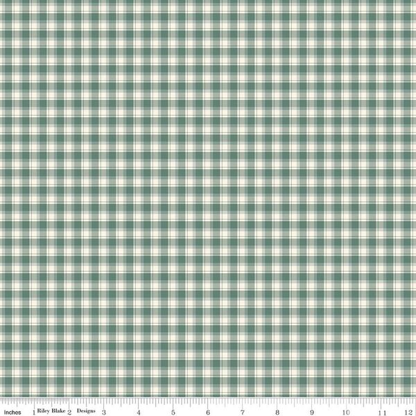 Plaid in Aqua