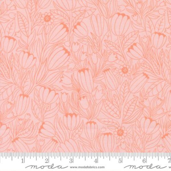 Tulip Lines in Peach