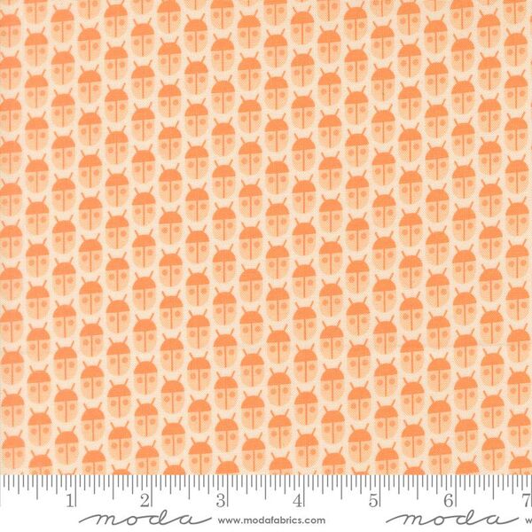 Little Bugs in Peach