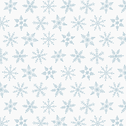 Snowfall in Frost on Snow