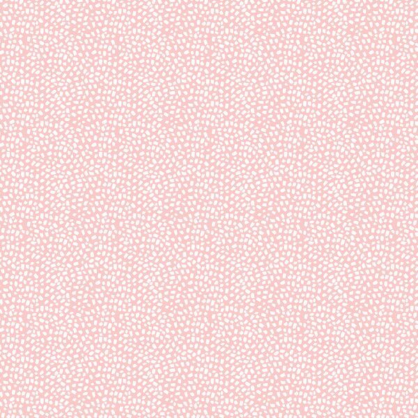 Texture in Seashell