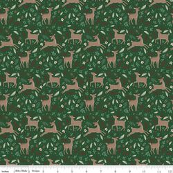 Deer in Forest