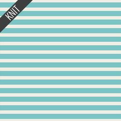 Striped Alike Knit in Aqua