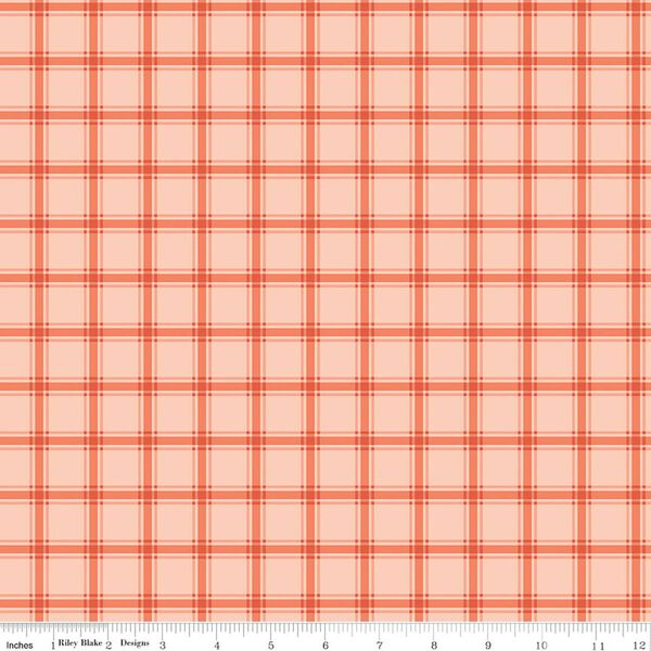 Gingham in Peaches 