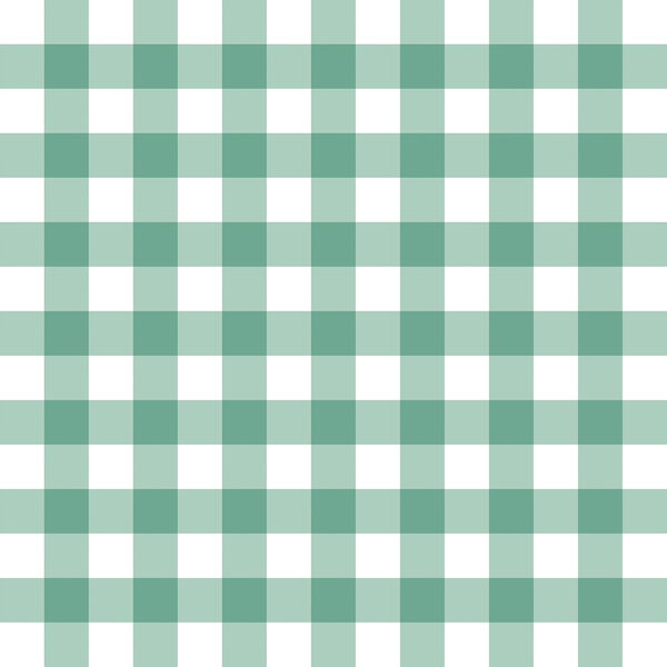 Gingham in Mint Green