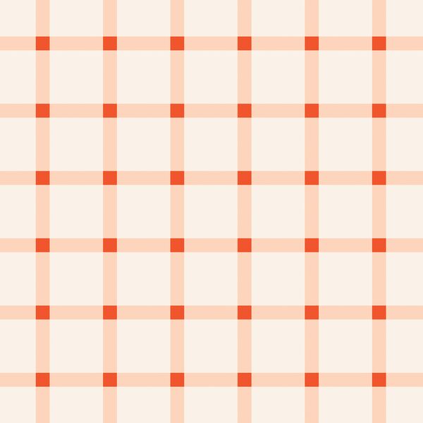 Large Sunshine Gingham in Cherry Blush