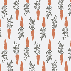 Crunchy Carrots in Boho