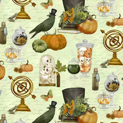 Terrariums in Sage