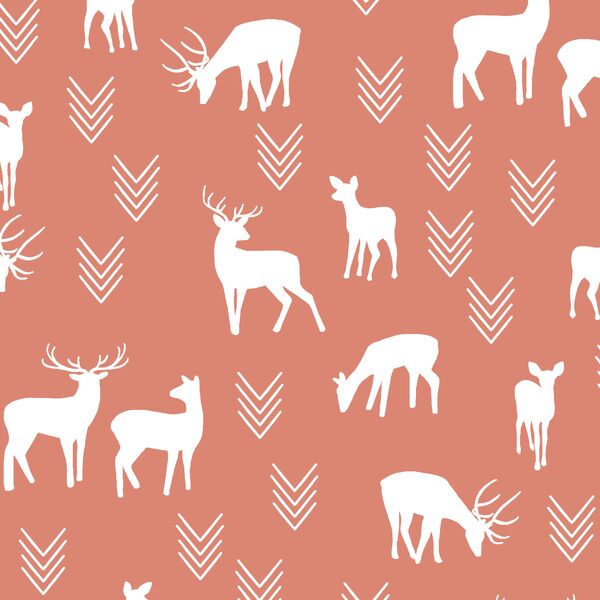 Deer Silhouette in Desert Rose
