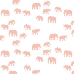 Elephant Silhouette in Petal on White