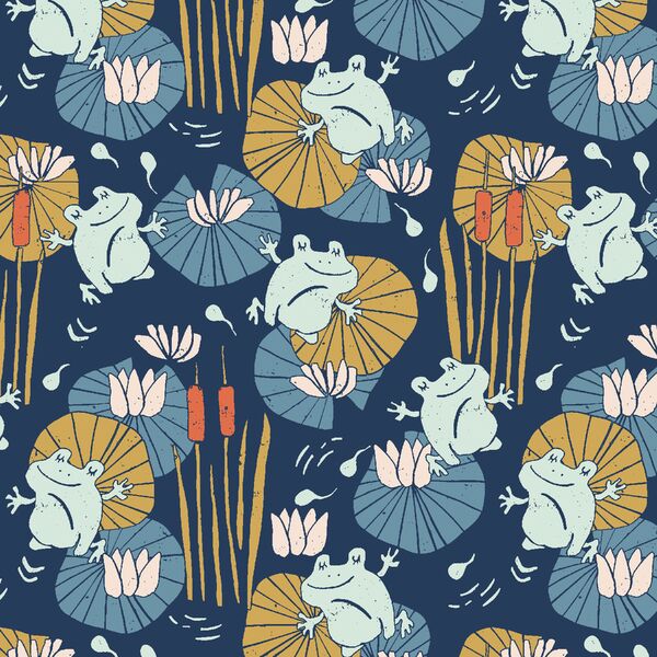 Frog Pond in Navy