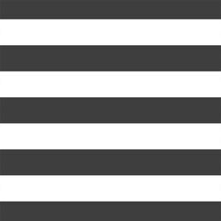 Horizontal Play Stripe in Onyx