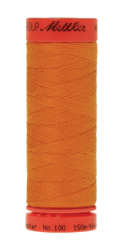 Pumpkin (9161-0122) - Metrosene - 164 Yards