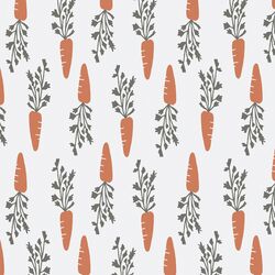 Crunchy Carrots in Boho